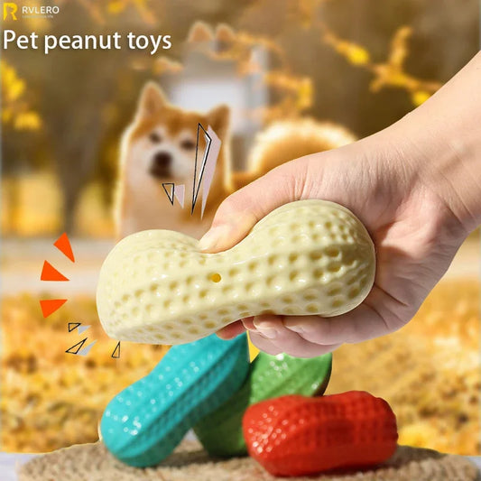 Pet Supplies